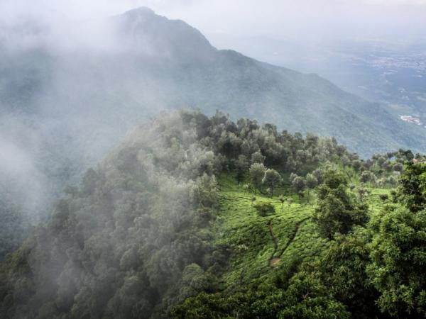 Bosques nublados de Ecuador